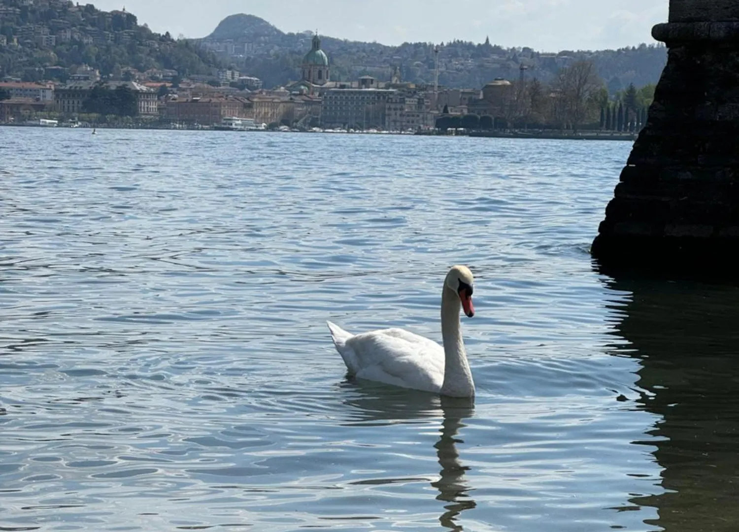 Portatorre Suite, A Charming Apartment In The Heart Of Como, Free Private Parking, Air Conditioning & More! 0*,  Italie